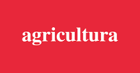 Lanzamiento “BioAgro Conecta 2026”: El gran encuentro que busca posicionar Chile como polo de agro-innovación desde la Región de O’Higgins