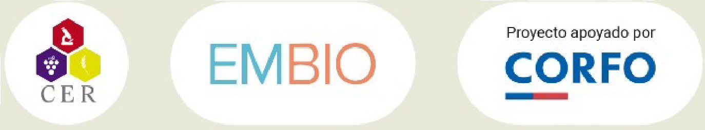 Organiza